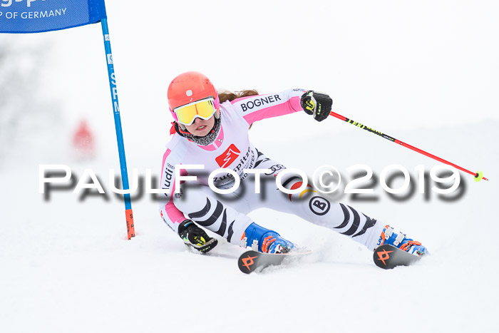 Werdenfelser Kinderskitag. mit Ziener und BZB Cup 2019