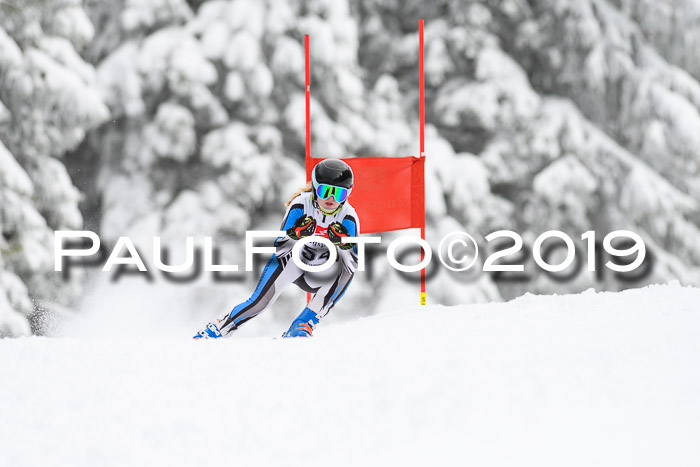 Werdenfelser Kinderskitag. mit Ziener und BZB Cup 2019