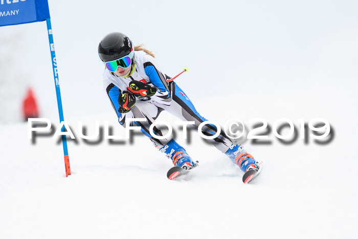 Werdenfelser Kinderskitag. mit Ziener und BZB Cup 2019