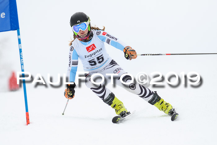 Werdenfelser Kinderskitag. mit Ziener und BZB Cup 2019