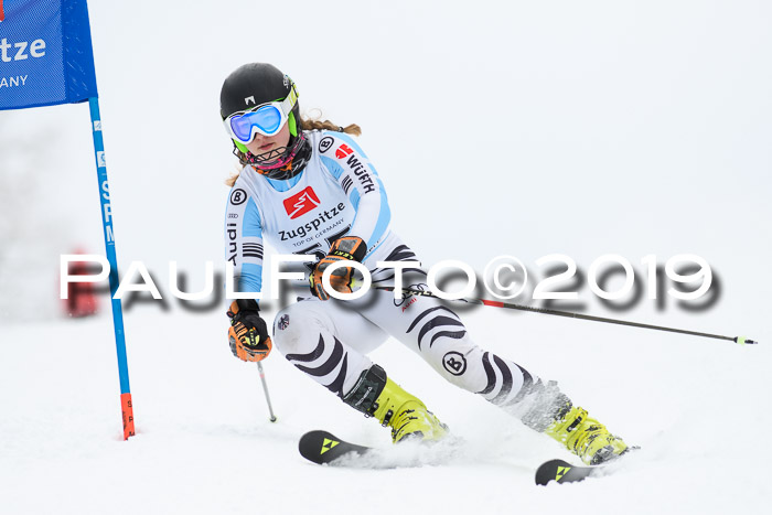Werdenfelser Kinderskitag. mit Ziener und BZB Cup 2019