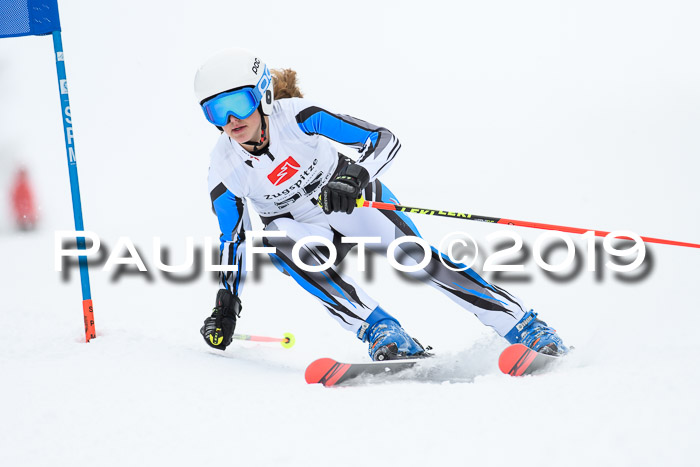 Werdenfelser Kinderskitag. mit Ziener und BZB Cup 2019