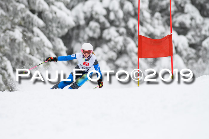 Werdenfelser Kinderskitag. mit Ziener und BZB Cup 2019