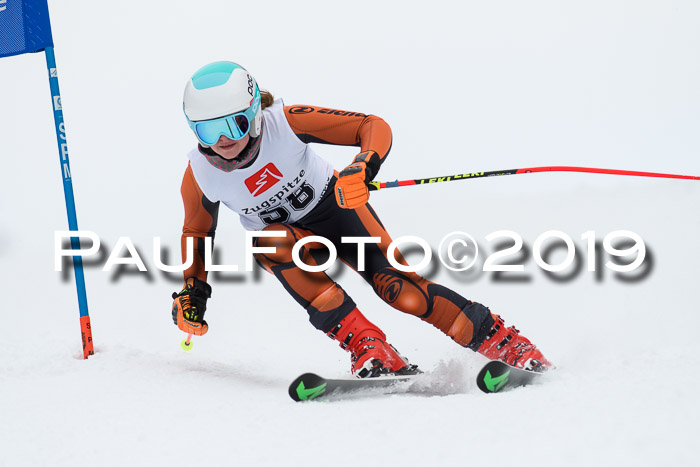 Werdenfelser Kinderskitag. mit Ziener und BZB Cup 2019