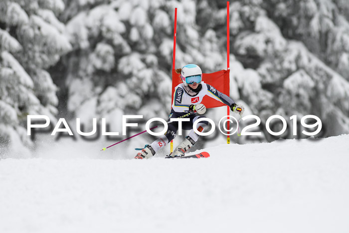 Werdenfelser Kinderskitag. mit Ziener und BZB Cup 2019