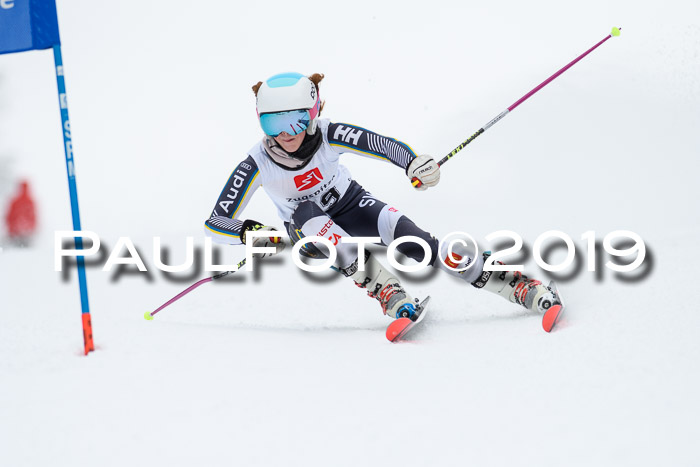 Werdenfelser Kinderskitag. mit Ziener und BZB Cup 2019