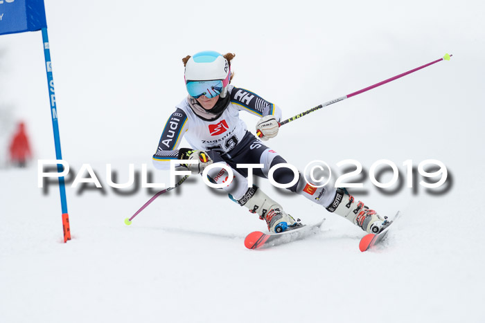 Werdenfelser Kinderskitag. mit Ziener und BZB Cup 2019