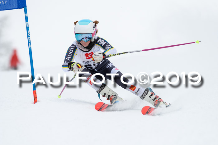 Werdenfelser Kinderskitag. mit Ziener und BZB Cup 2019