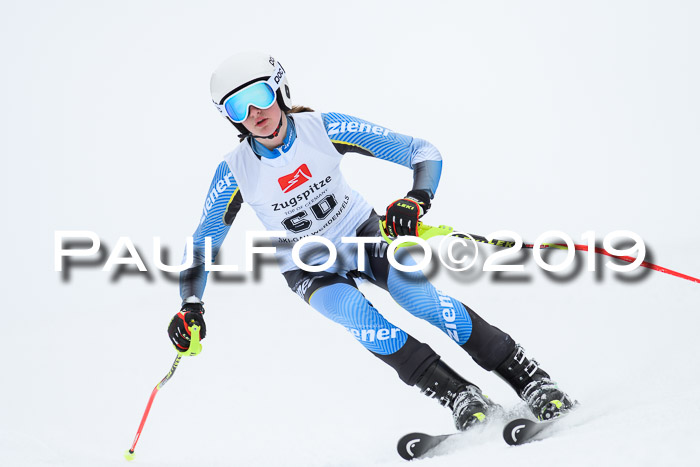 Werdenfelser Kinderskitag. mit Ziener und BZB Cup 2019