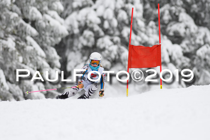 Werdenfelser Kinderskitag. mit Ziener und BZB Cup 2019