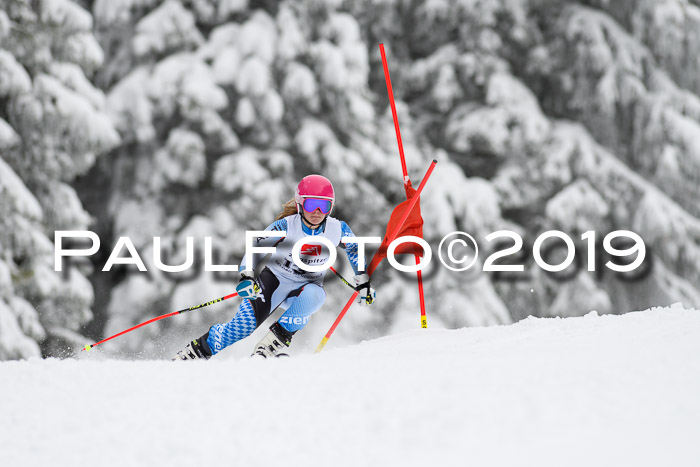 Werdenfelser Kinderskitag. mit Ziener und BZB Cup 2019