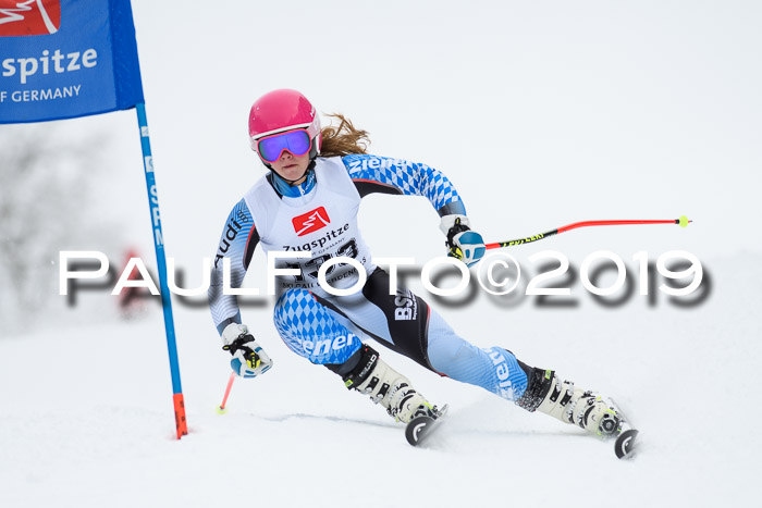 Werdenfelser Kinderskitag. mit Ziener und BZB Cup 2019