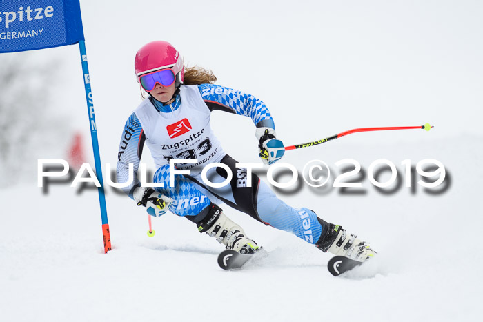Werdenfelser Kinderskitag. mit Ziener und BZB Cup 2019