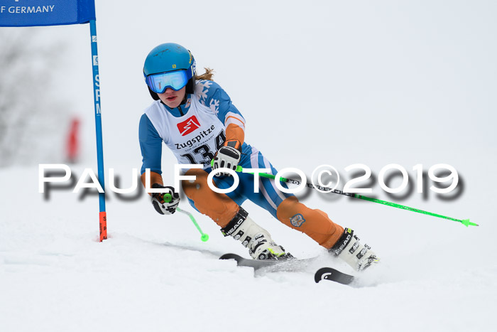Werdenfelser Kinderskitag. mit Ziener und BZB Cup 2019