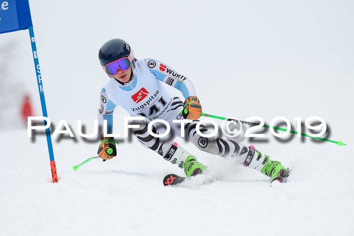 Werdenfelser Kinderskitag. mit Ziener und BZB Cup 2019