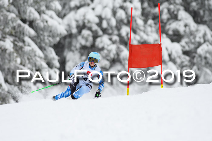 Werdenfelser Kinderskitag. mit Ziener und BZB Cup 2019