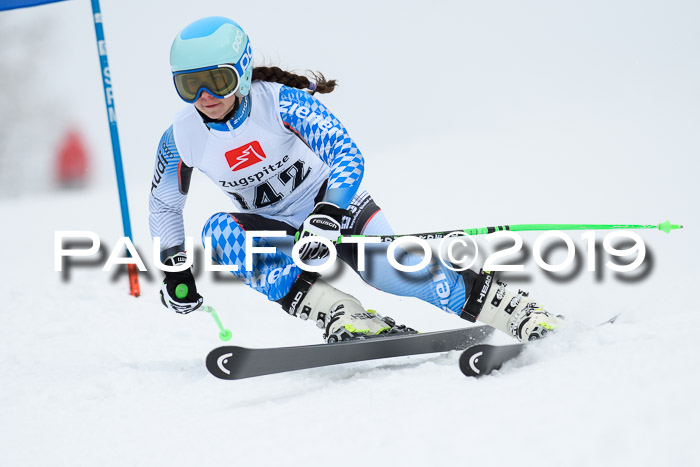 Werdenfelser Kinderskitag. mit Ziener und BZB Cup 2019