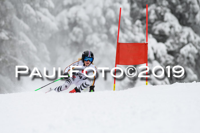 Werdenfelser Kinderskitag. mit Ziener und BZB Cup 2019