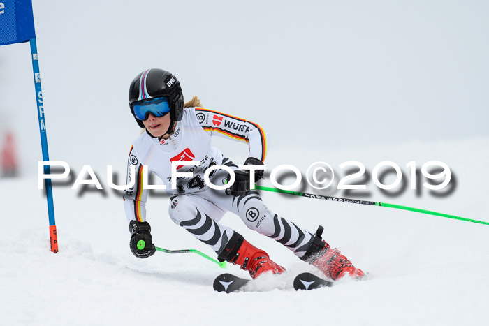 Werdenfelser Kinderskitag. mit Ziener und BZB Cup 2019
