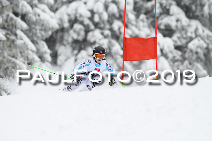 Werdenfelser Kinderskitag. mit Ziener und BZB Cup 2019