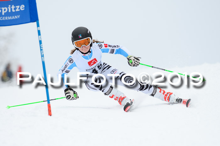 Werdenfelser Kinderskitag. mit Ziener und BZB Cup 2019