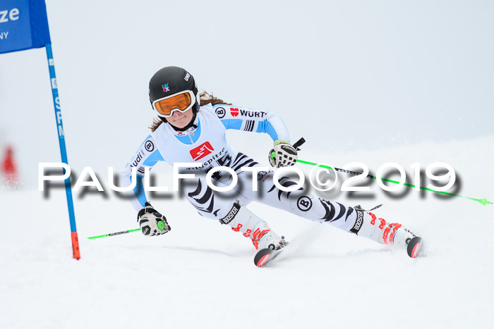 Werdenfelser Kinderskitag. mit Ziener und BZB Cup 2019