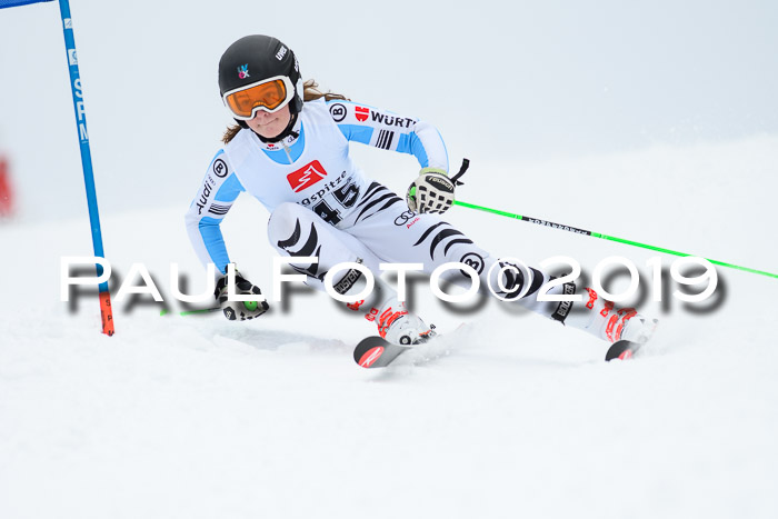 Werdenfelser Kinderskitag. mit Ziener und BZB Cup 2019