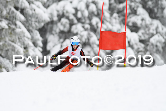 Werdenfelser Kinderskitag. mit Ziener und BZB Cup 2019