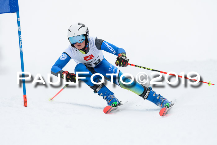 Werdenfelser Kinderskitag. mit Ziener und BZB Cup 2019