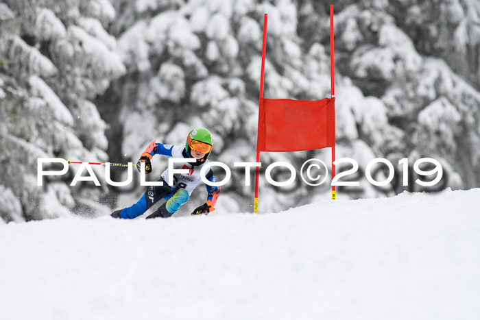 Werdenfelser Kinderskitag. mit Ziener und BZB Cup 2019