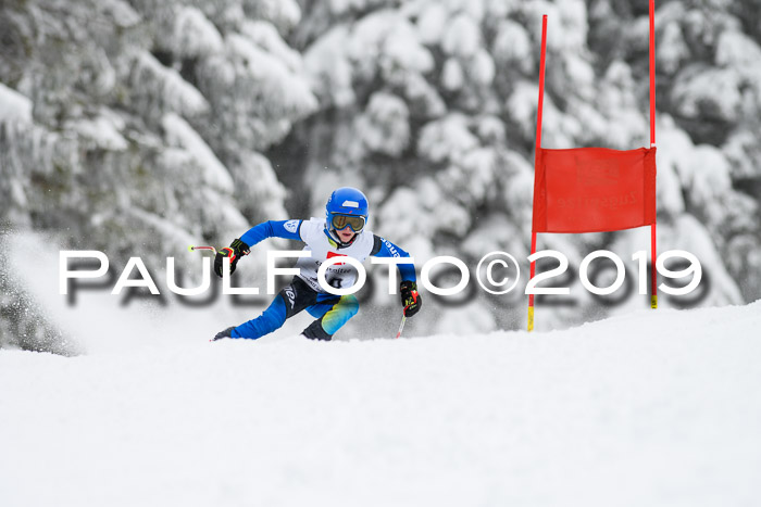 Werdenfelser Kinderskitag. mit Ziener und BZB Cup 2019
