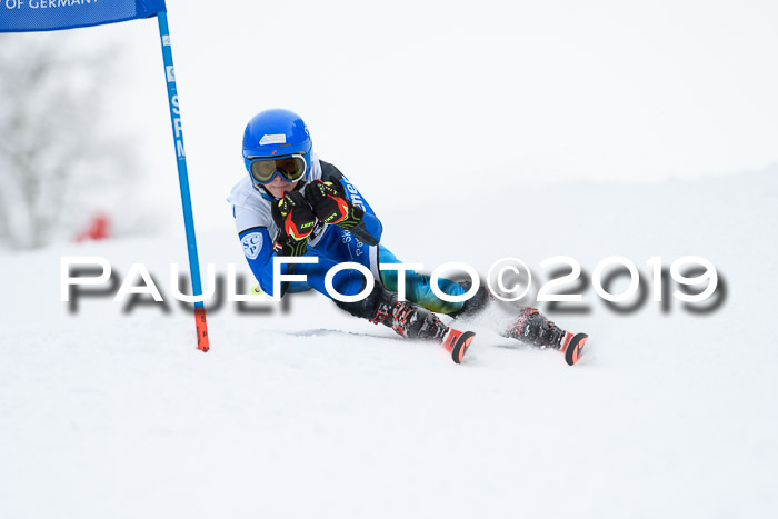Werdenfelser Kinderskitag. mit Ziener und BZB Cup 2019