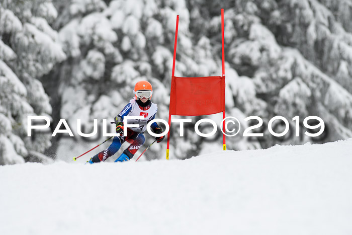 Werdenfelser Kinderskitag. mit Ziener und BZB Cup 2019