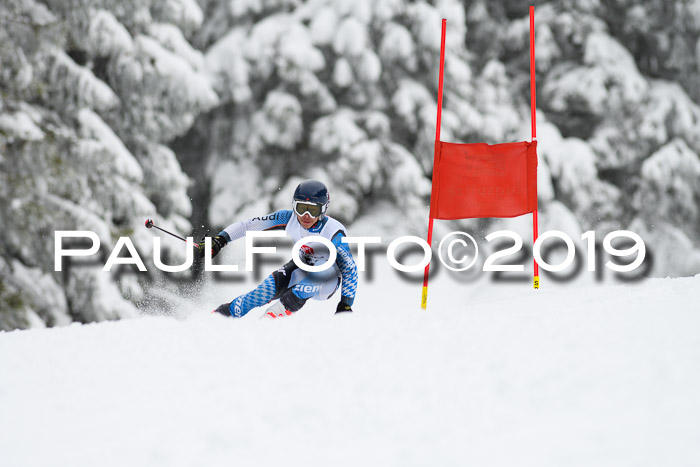 Werdenfelser Kinderskitag. mit Ziener und BZB Cup 2019