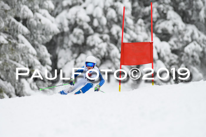 Werdenfelser Kinderskitag. mit Ziener und BZB Cup 2019