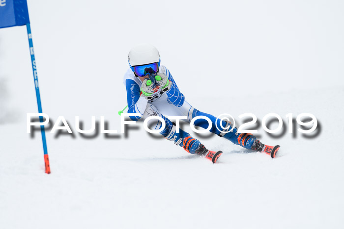 Werdenfelser Kinderskitag. mit Ziener und BZB Cup 2019