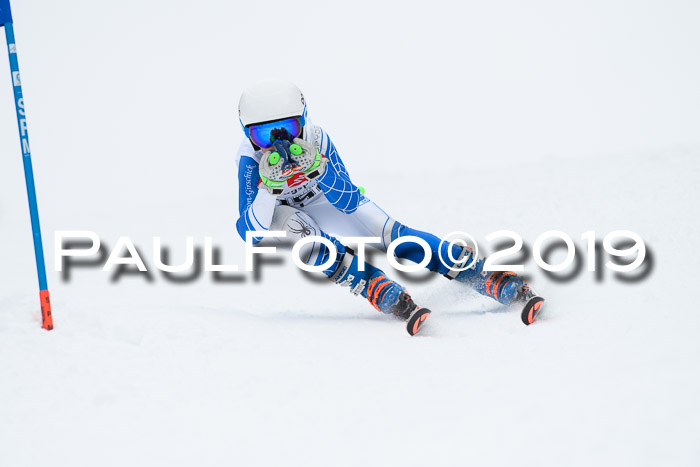 Werdenfelser Kinderskitag. mit Ziener und BZB Cup 2019