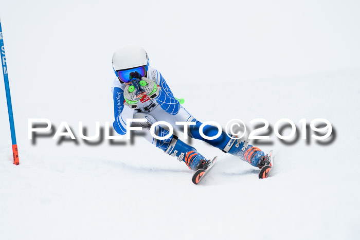 Werdenfelser Kinderskitag. mit Ziener und BZB Cup 2019