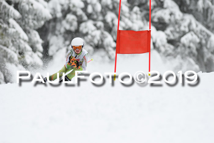 Werdenfelser Kinderskitag. mit Ziener und BZB Cup 2019