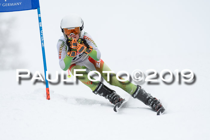 Werdenfelser Kinderskitag. mit Ziener und BZB Cup 2019