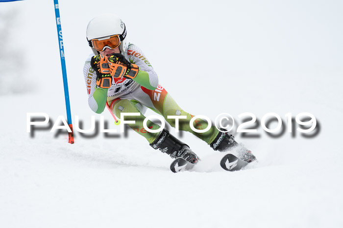 Werdenfelser Kinderskitag. mit Ziener und BZB Cup 2019