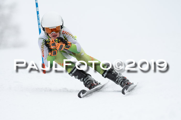 Werdenfelser Kinderskitag. mit Ziener und BZB Cup 2019