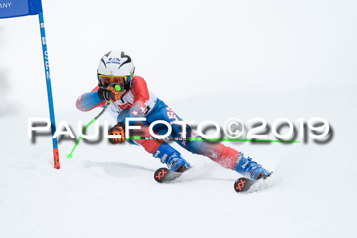 Werdenfelser Kinderskitag. mit Ziener und BZB Cup 2019