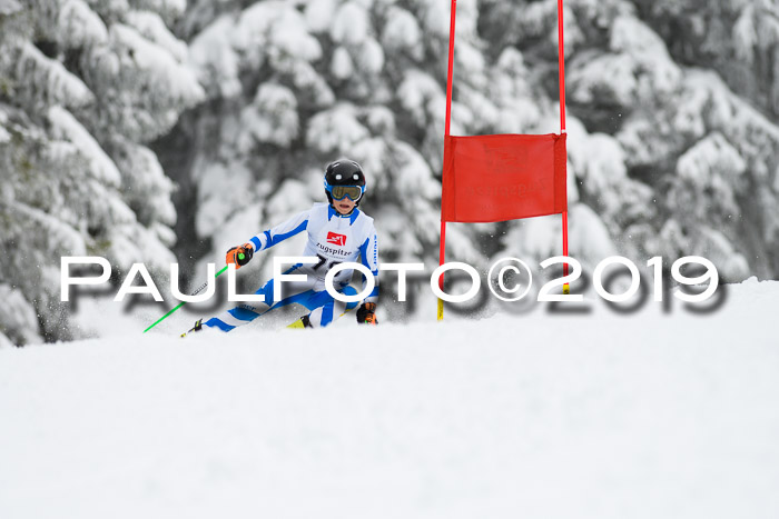 Werdenfelser Kinderskitag. mit Ziener und BZB Cup 2019