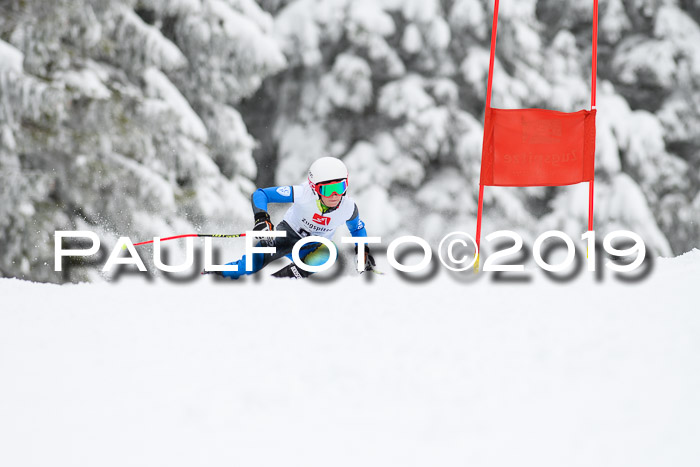 Werdenfelser Kinderskitag. mit Ziener und BZB Cup 2019