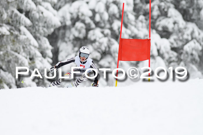 Werdenfelser Kinderskitag. mit Ziener und BZB Cup 2019