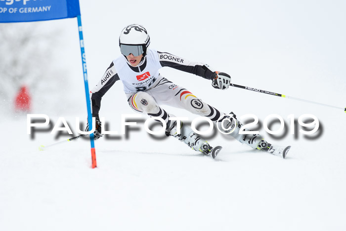 Werdenfelser Kinderskitag. mit Ziener und BZB Cup 2019