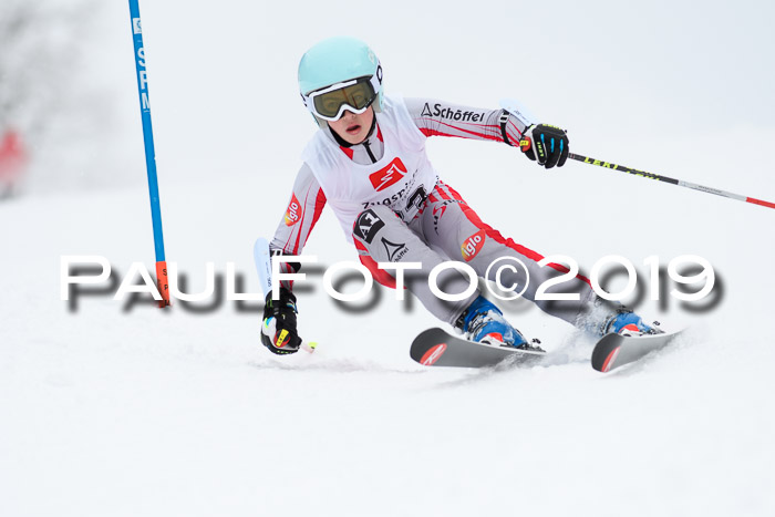 Werdenfelser Kinderskitag. mit Ziener und BZB Cup 2019