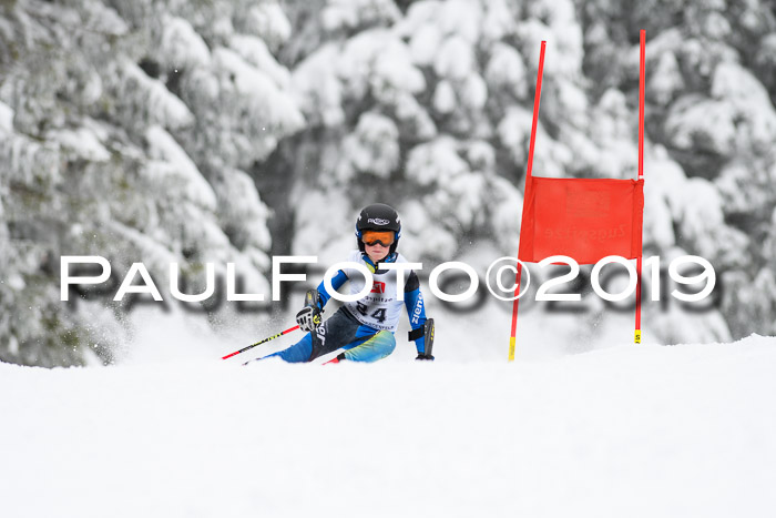 Werdenfelser Kinderskitag. mit Ziener und BZB Cup 2019