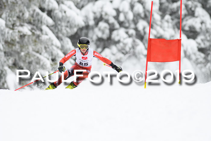 Werdenfelser Kinderskitag. mit Ziener und BZB Cup 2019